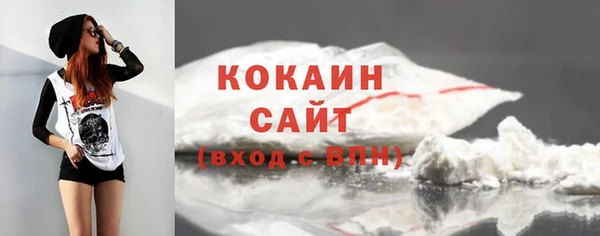 дживик Баксан