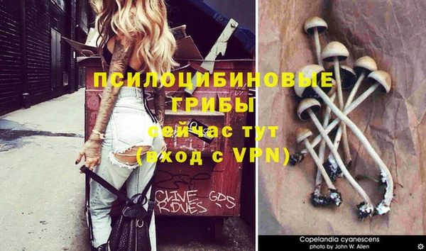 дживик Баксан