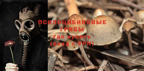 мескалин Балахна