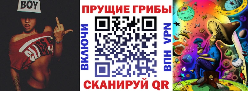 Галлюциногенные грибы Magic Shrooms  купить наркотики сайты  Болгар 