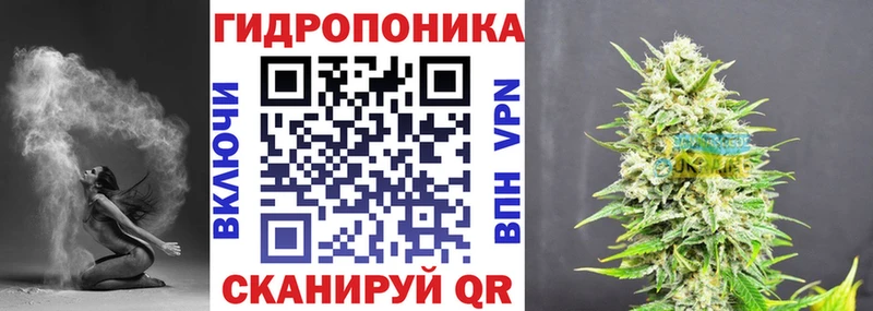 Конопля SATIVA & INDICA  Болгар 